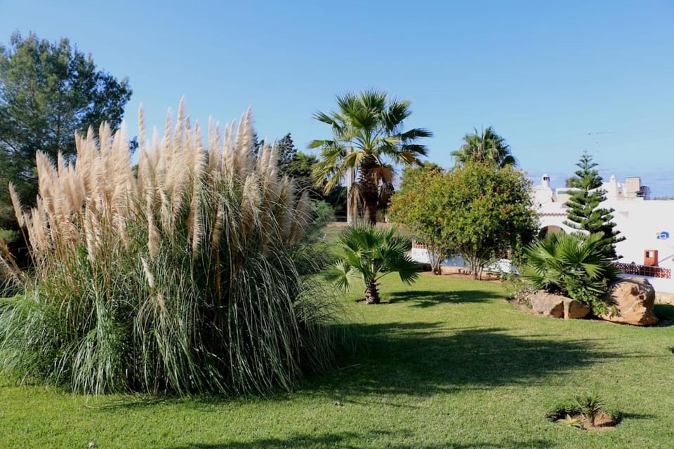 Villa Bellissima Villa in Ibiza