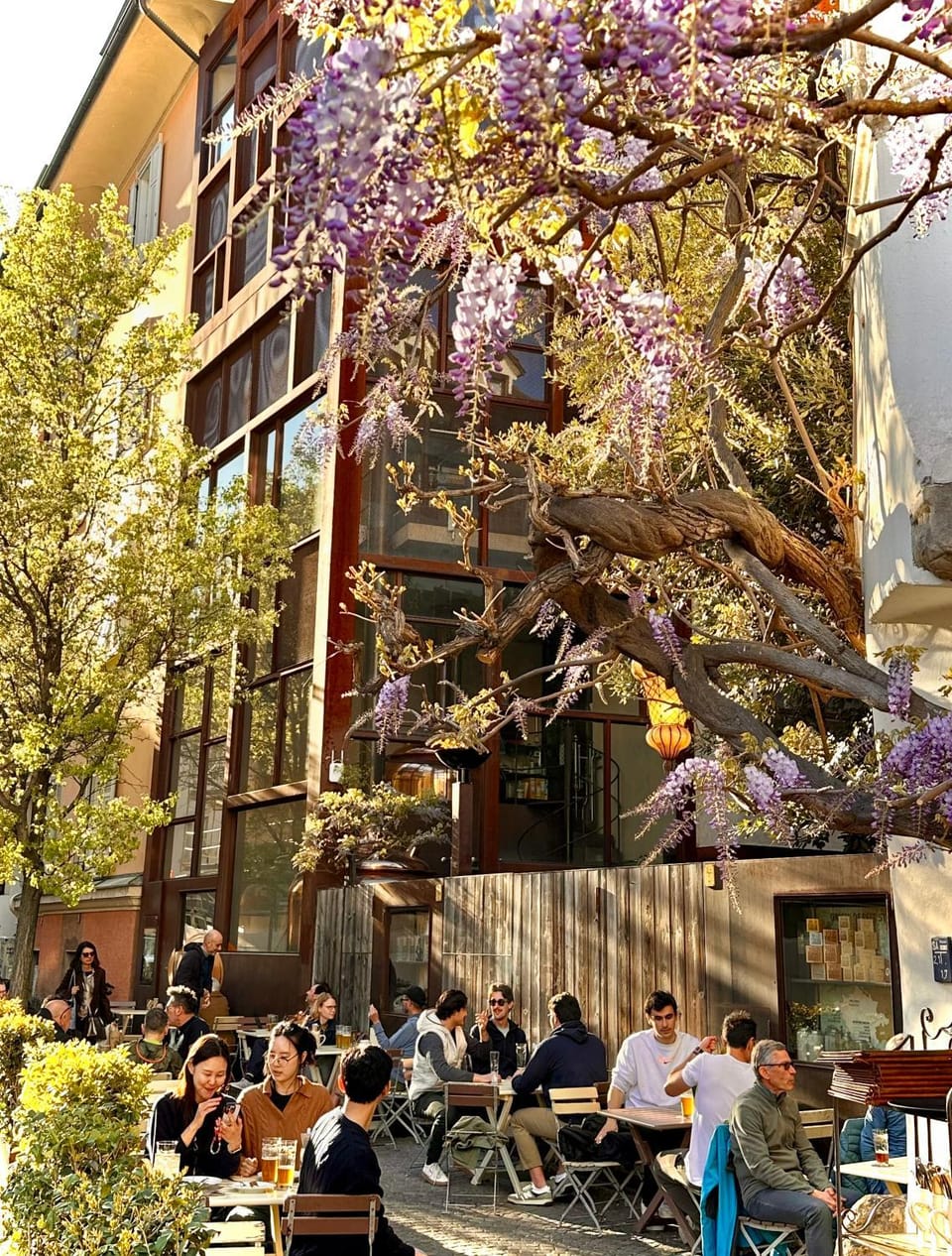 Restaurant/places to eat, Spring