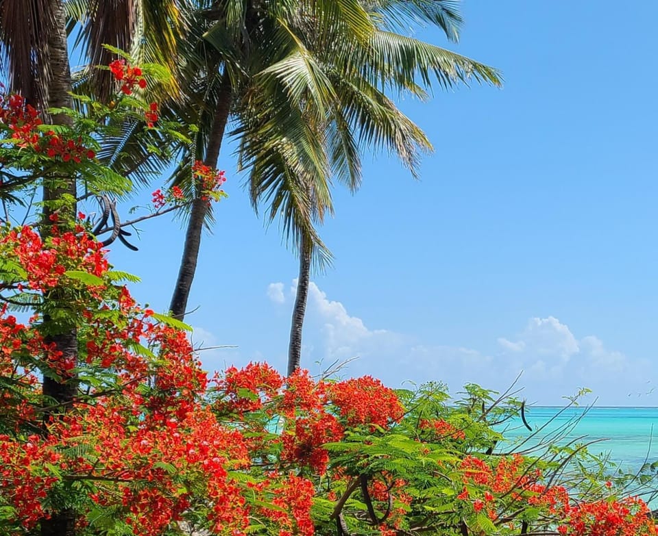 View (from property/room), Beach, Sea view
