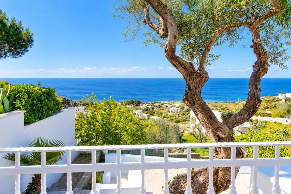 Natural landscape, Balcony/Terrace, Sea view