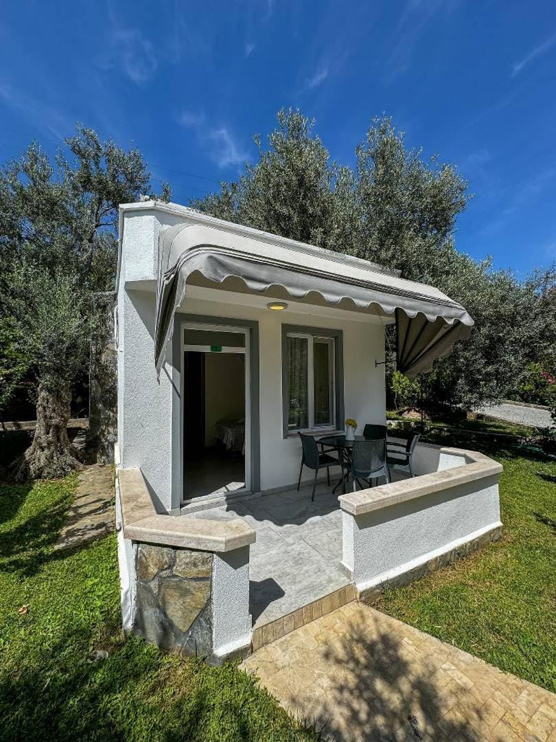 Patio, Spring, Day, Garden, Garden view