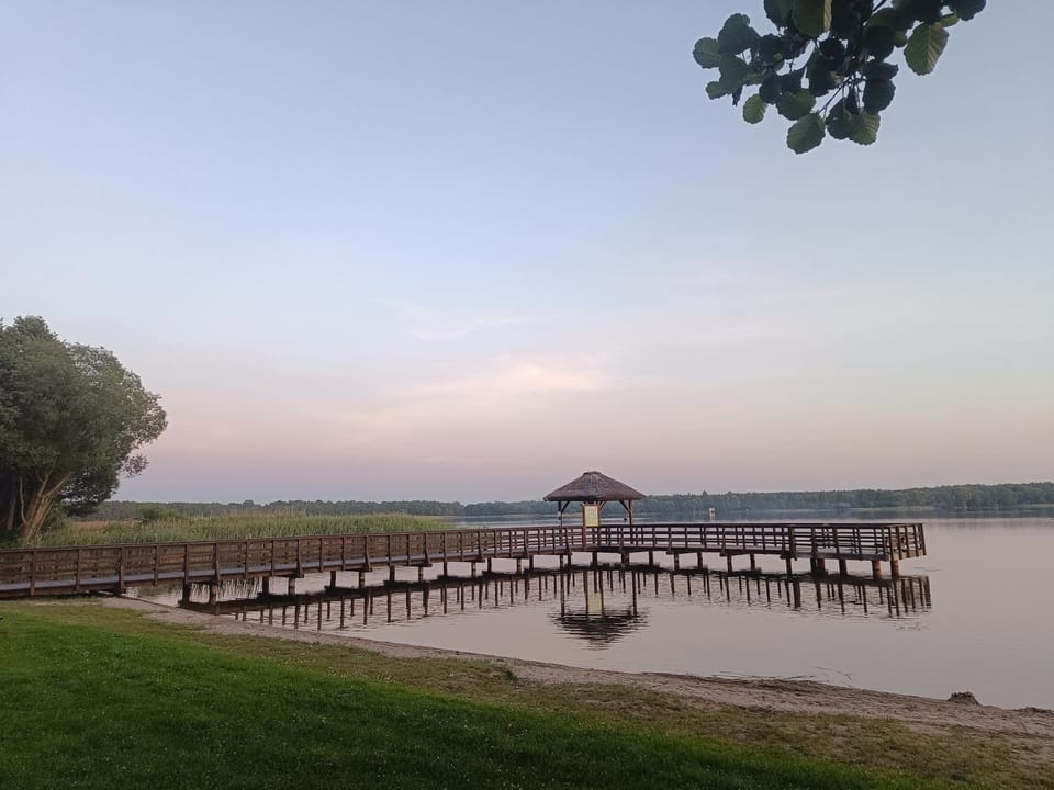 Domki na Kolonii, Trzy domki, nowe, sala bankietowa 82m2 Villa in Poland