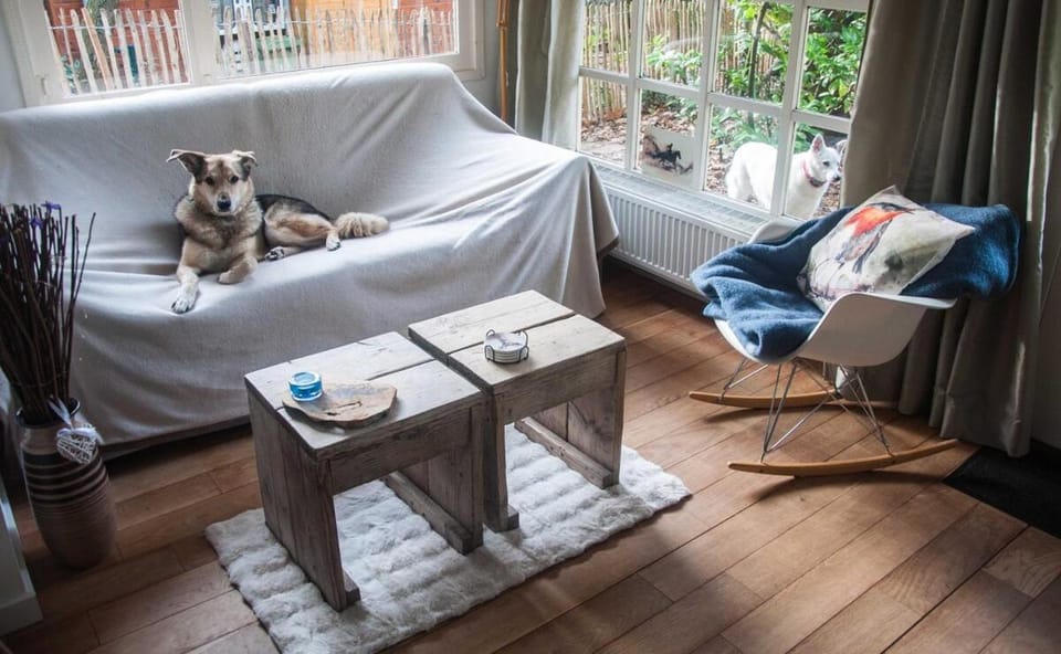 Chalet Klein Geluk Chalet in Limburg (province)