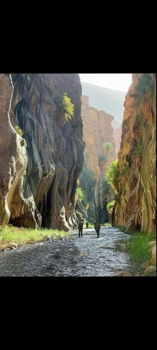 Dana Village experience hotel Nature lodge in Africa
