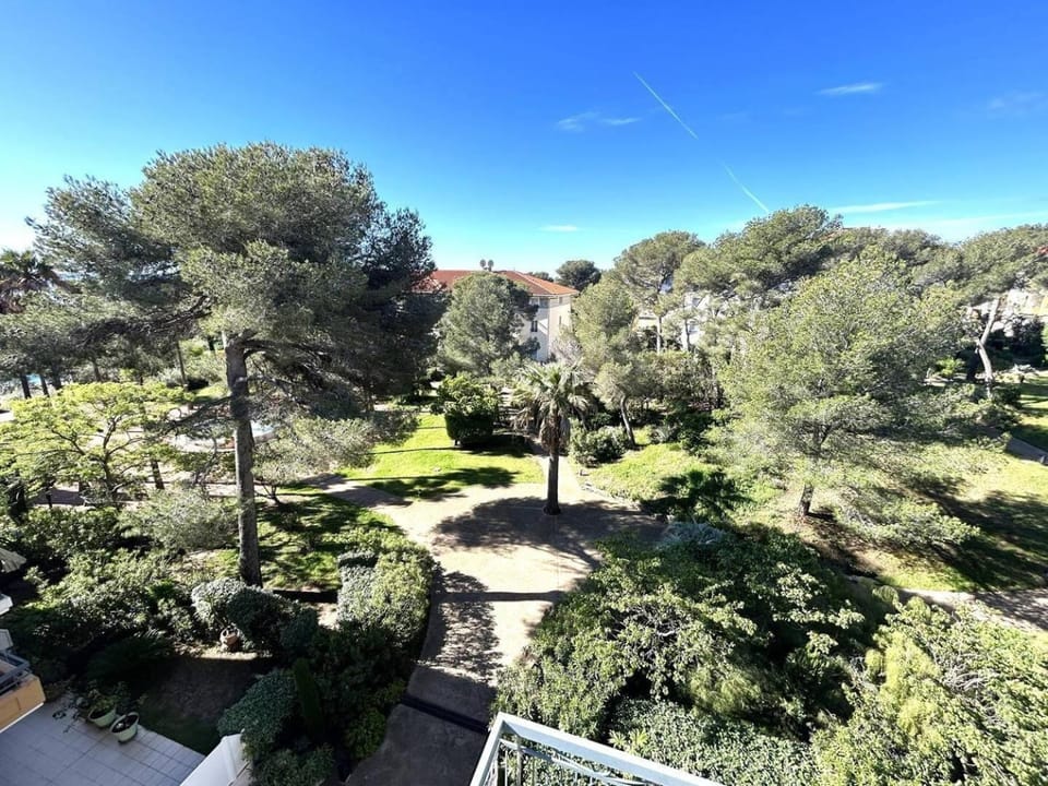 Garden view