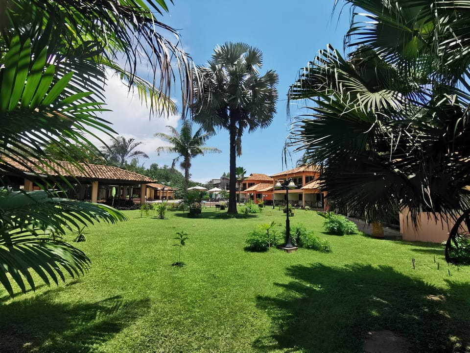 Natural landscape, Garden, Garden view