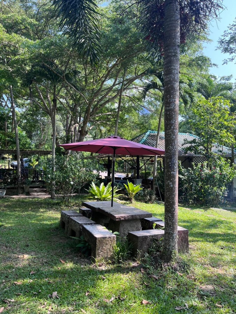 Garden, View (from property/room), Balcony/Terrace