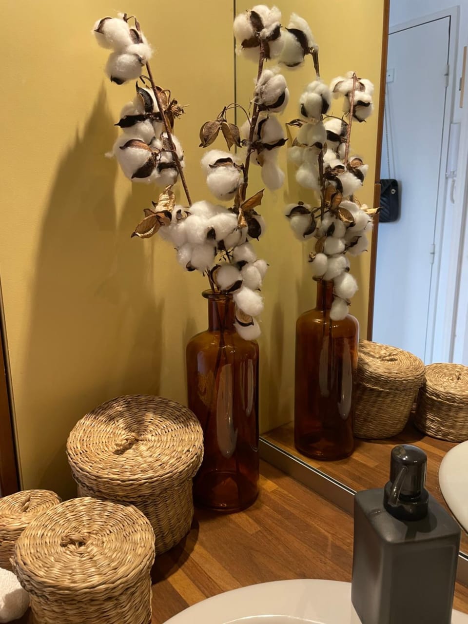 Amboise centre ville Apartment in Amboise