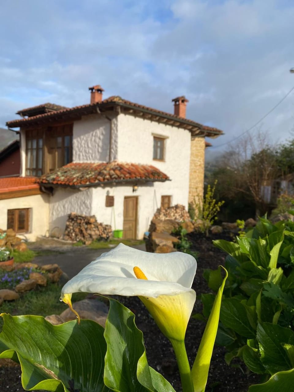 Casa Aldea l'Ayalga Country House in Asturias