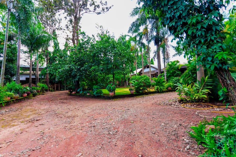 Garden, Parking