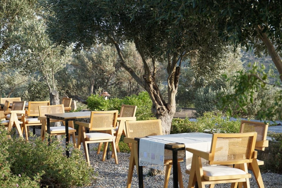 Restaurant/places to eat, Garden, Garden view