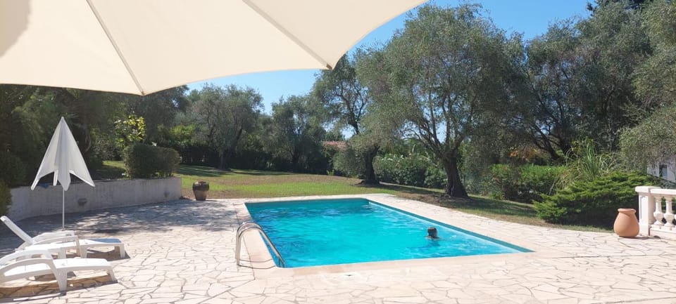 Garden, Swimming pool, sunbed