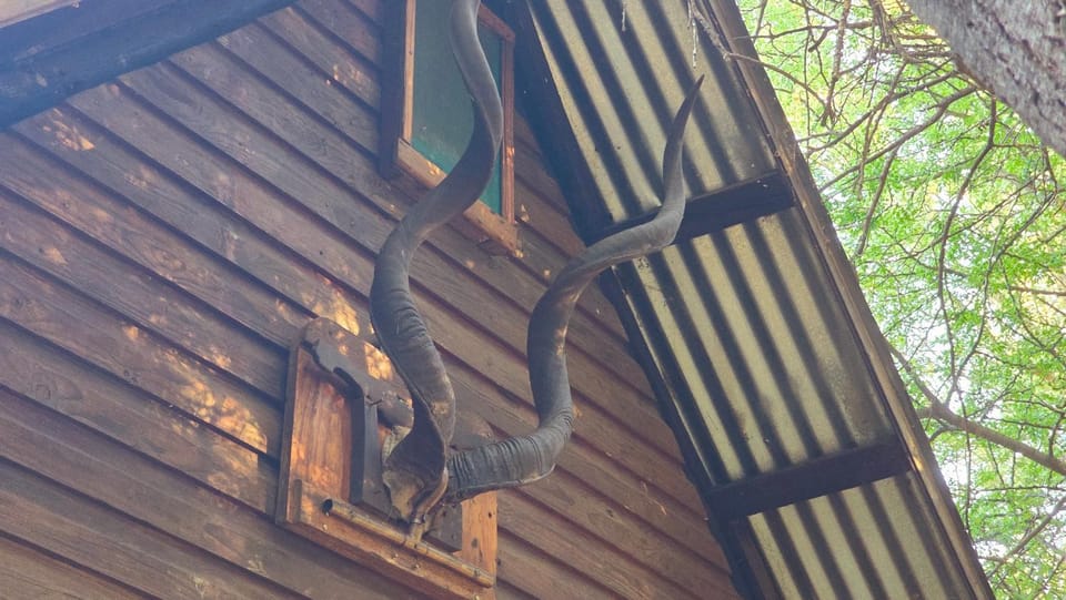 mokolodi Conservancy Chalets Apartment in North West, South Africa