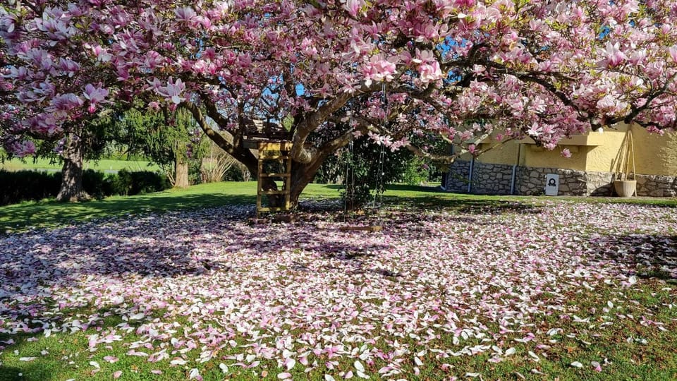 Villa MIRENSOU Bed and Breakfast in Nouvelle-Aquitaine