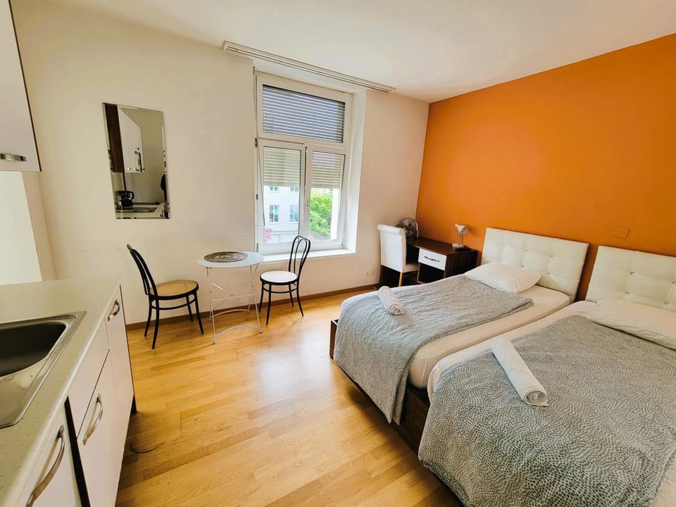 Renovated Apartment Near Zurich Lake Sees - Self Checkin Apartment in Zurich City