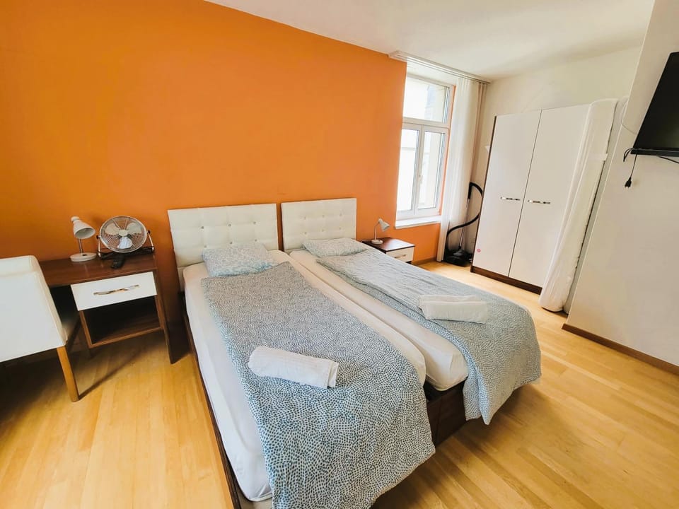 Renovated Apartment Near Zurich Lake Sees - Self Checkin Apartment in Zurich City