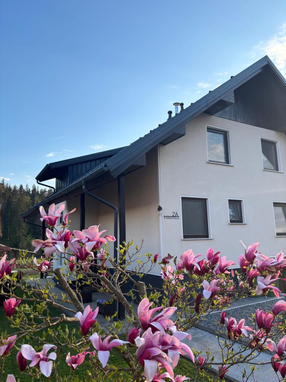 Property building, Day, Garden, Garden view