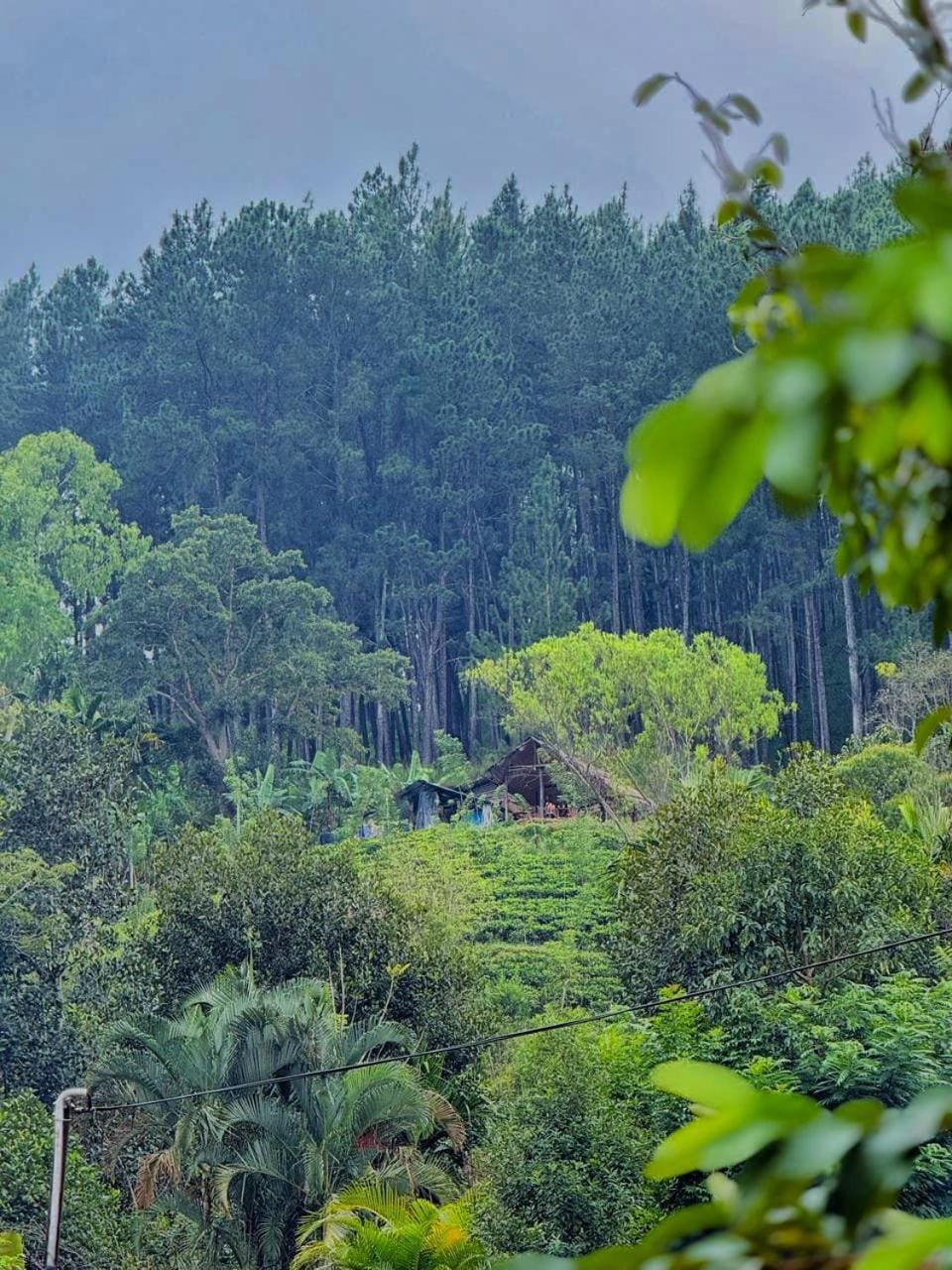 Cindrella Sky Nest Camp Ella Campground/ 
RV Resort in Uva Province, Sri Lanka