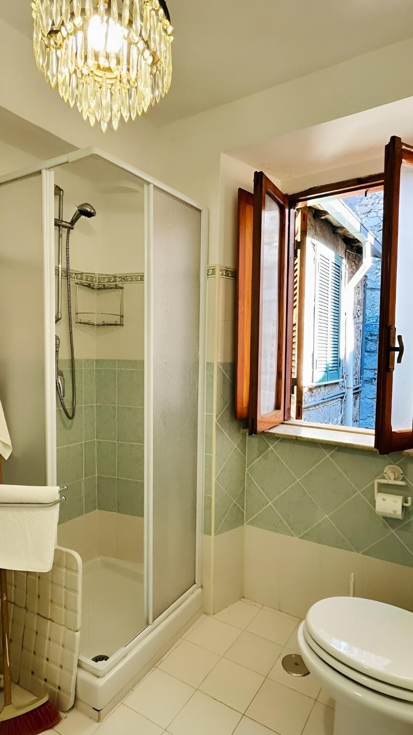 Shower, Toilet, Bathroom, bidet