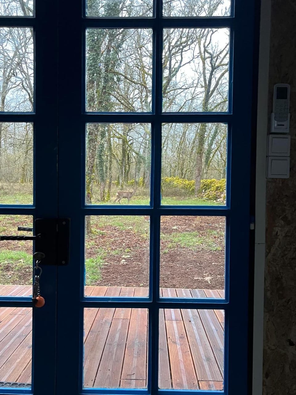 Le Refuge des Bois de Morphée House in Occitanie
