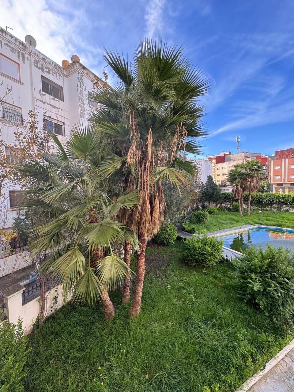 Garden, Garden view, Swimming pool
