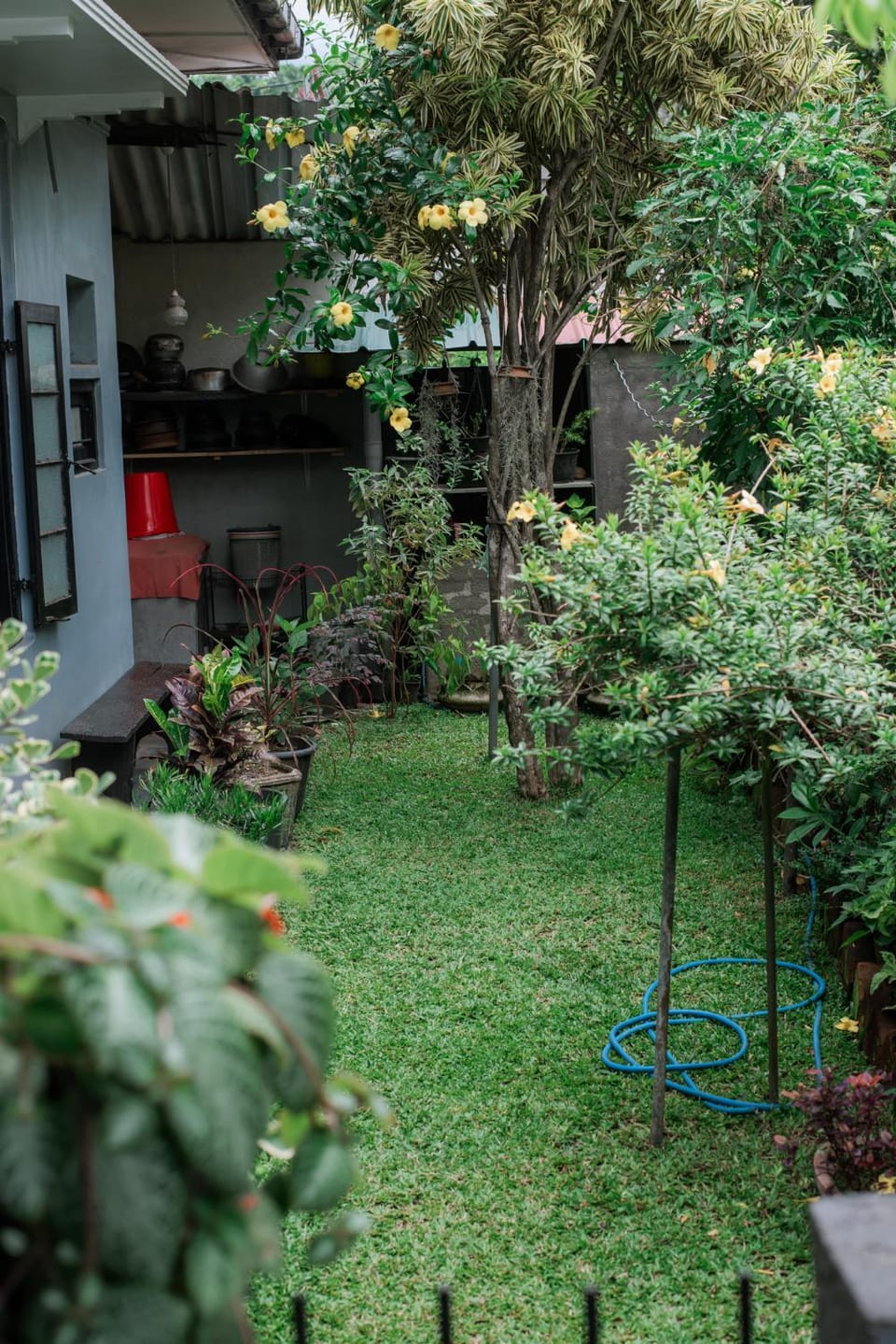 Garden, Garden