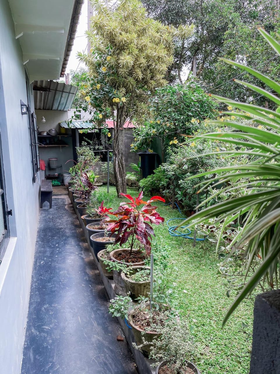 Garden, Garden