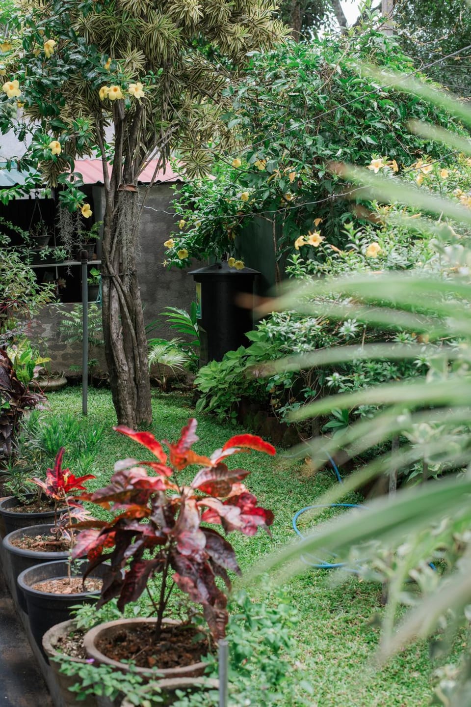 Garden, Garden