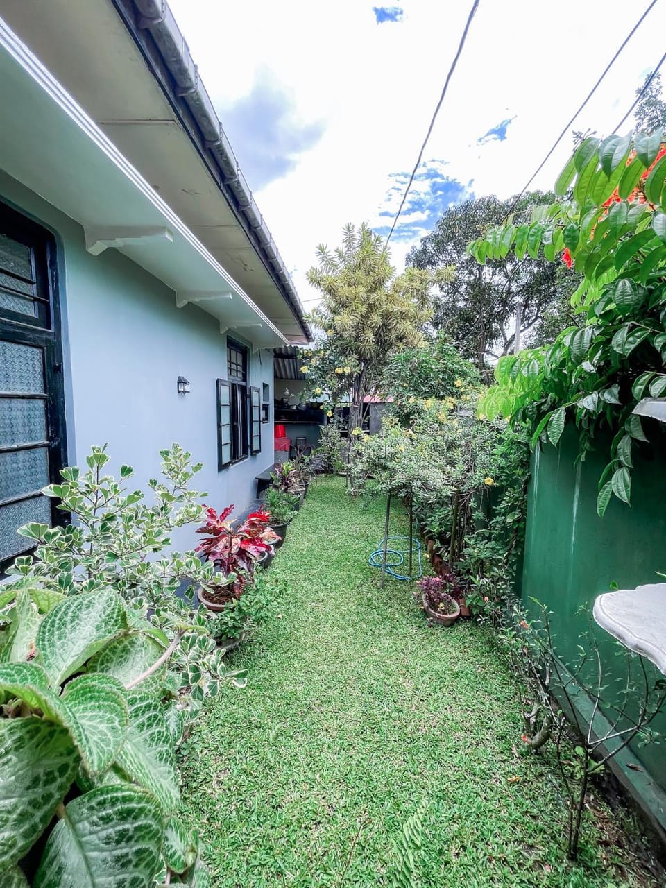 Garden, Garden, Garden view