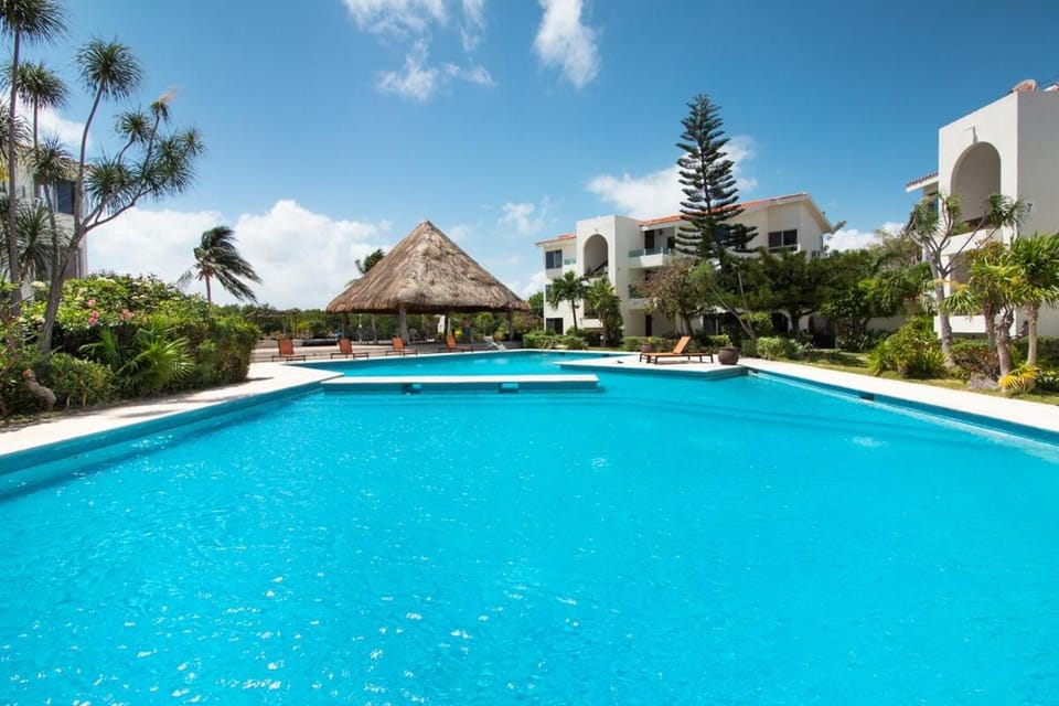 Pool view, Swimming pool, sunbed