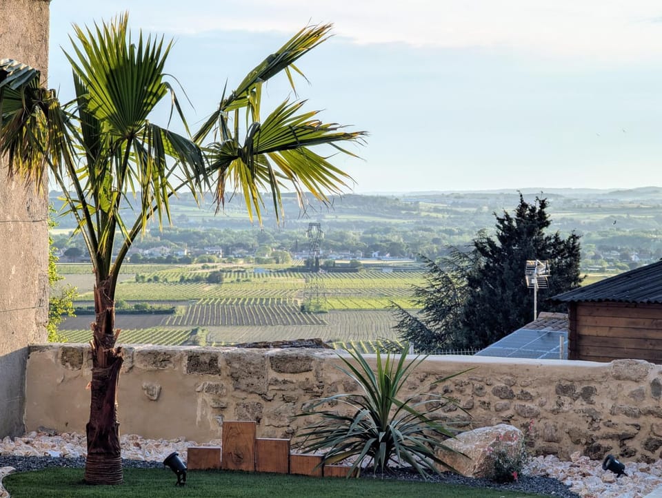 Spring, Day, Natural landscape, Garden, Garden, Garden view