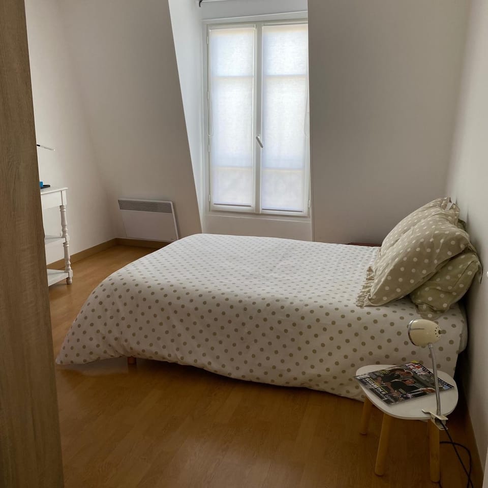 cute, bright and quiet apartment in Bastille - Le Marais Apartment in Paris