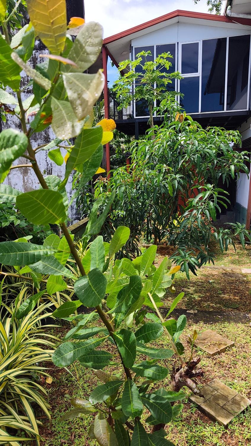 Derick's villa Bed and Breakfast in Galle
