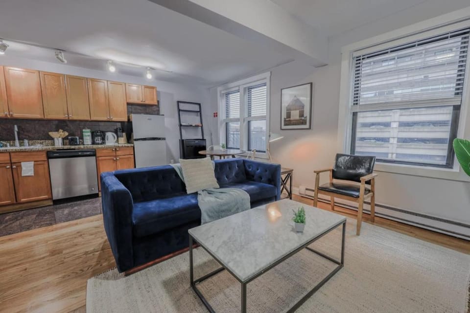 Theater District Cozy 1 BR Apartment in Boston