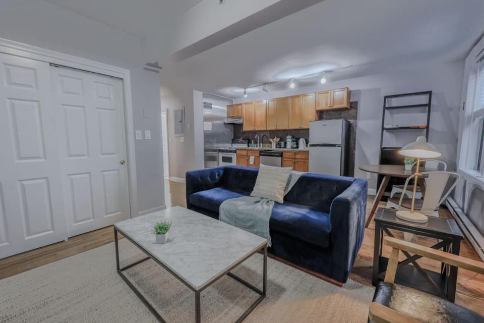 Theater District Cozy 1 BR Apartment in Boston