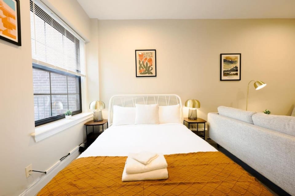 Bold and Spacious Studio Back Bay Apartment in Back Bay