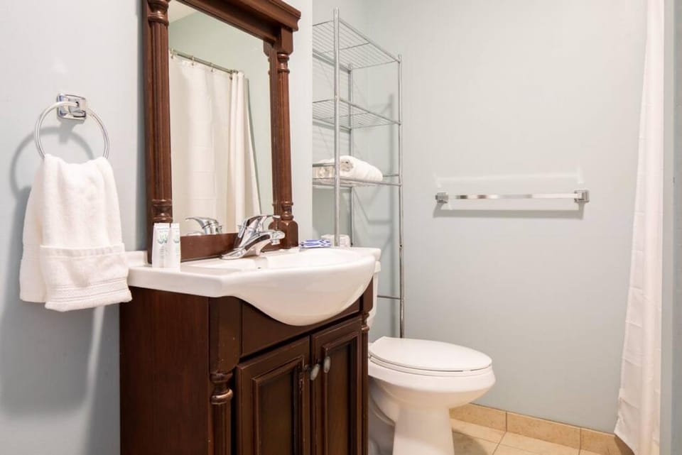 Large Ceilings Centrally Located 4bed 2bath Apartment in South Boston