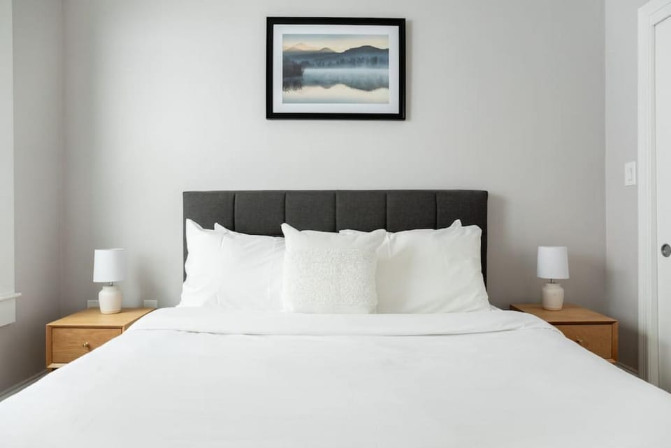 Serene 1BR with 99 WalkScore Fast Wifi and SmartLock Apartment in Boston