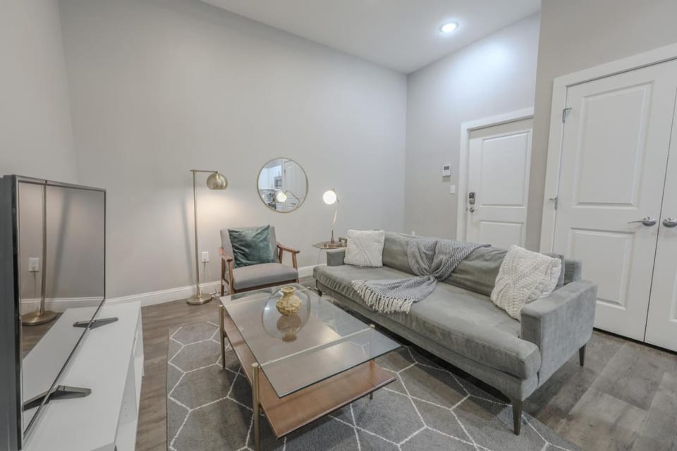 Pet Friendly Downtown Boston Elevator Washer Dryer Apartment in Beacon Hill