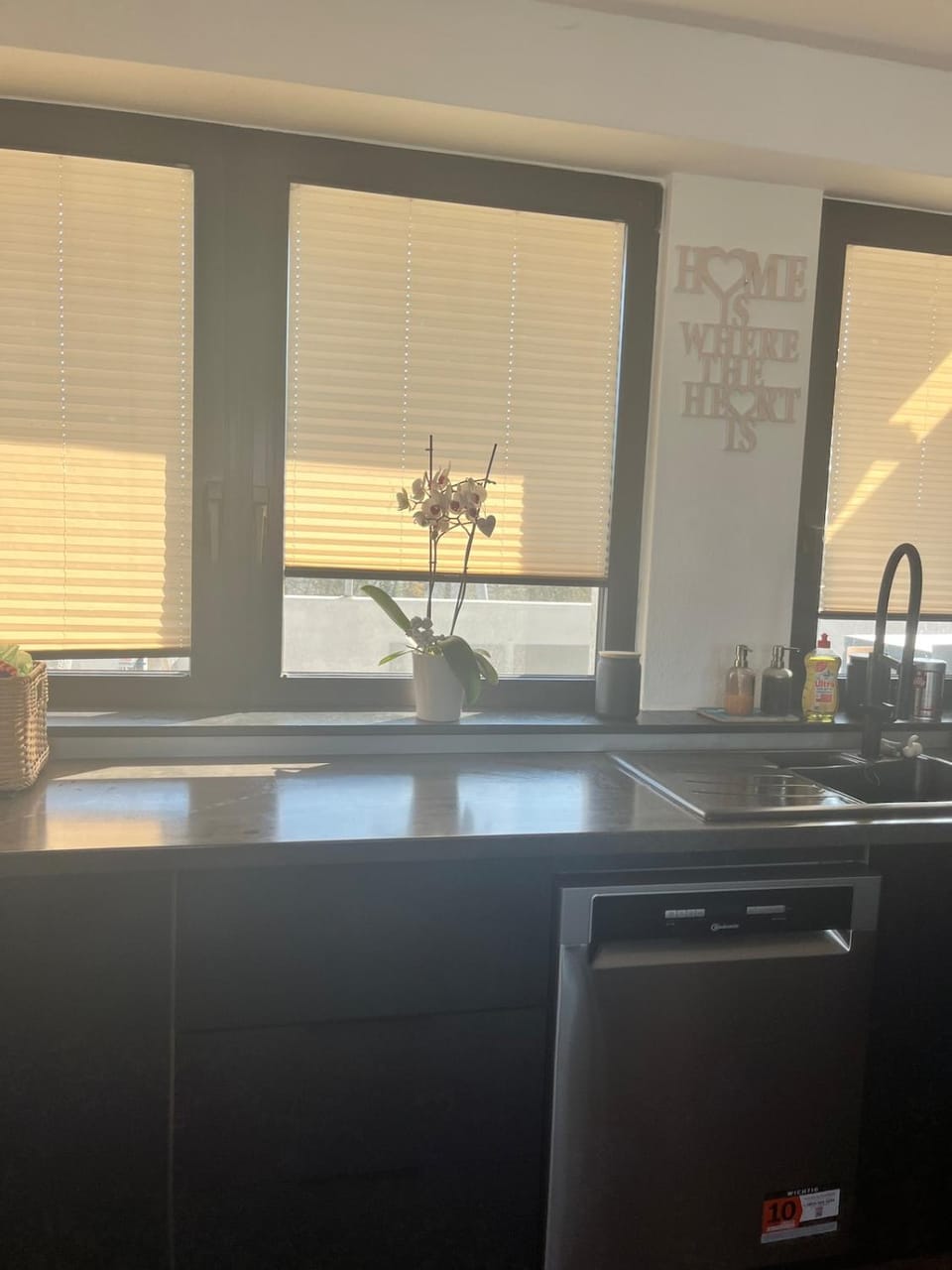 Kitchen or kitchenette, dishwasher, stove