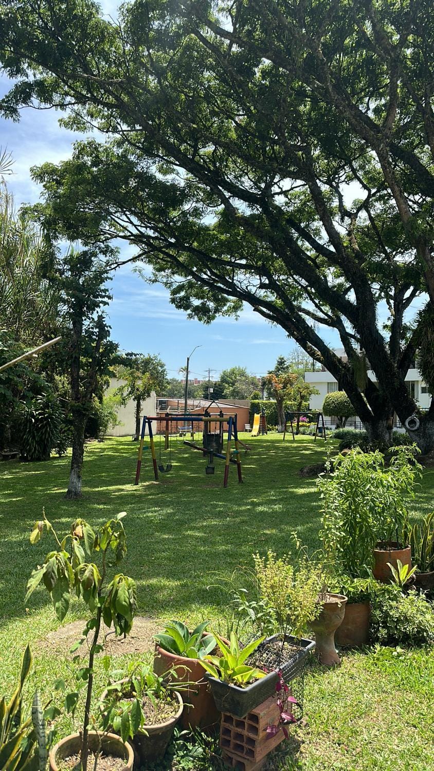 Spring, Day, Natural landscape, Garden, Garden view