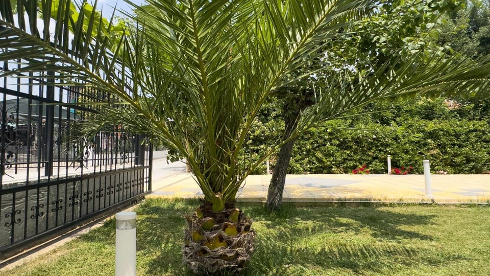 Natural landscape, Garden, Garden view