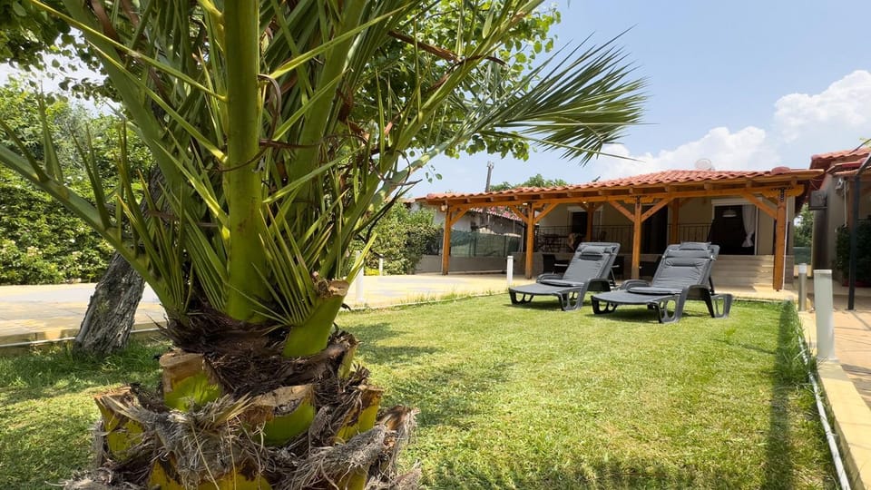 Natural landscape, Garden, Garden view, sunbed