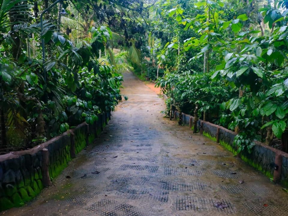 Fogland Villa Villa in Kerala