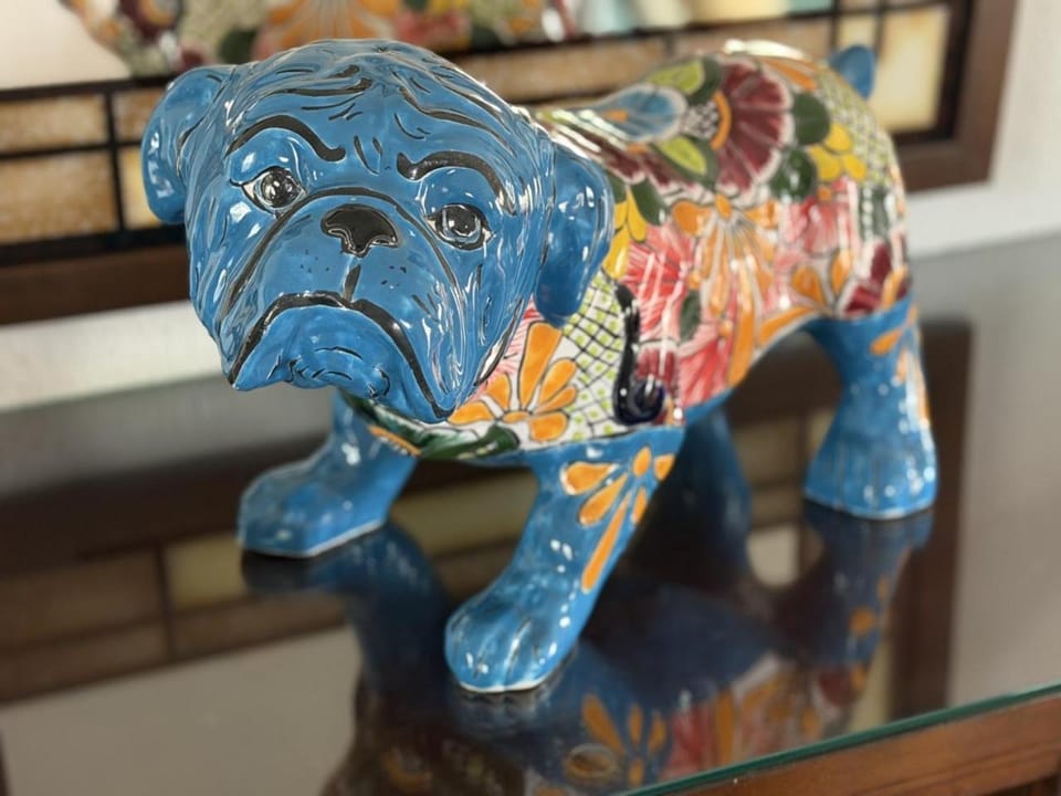 Experience Tucson at Casa Linda in Menlo Park House in Tucson