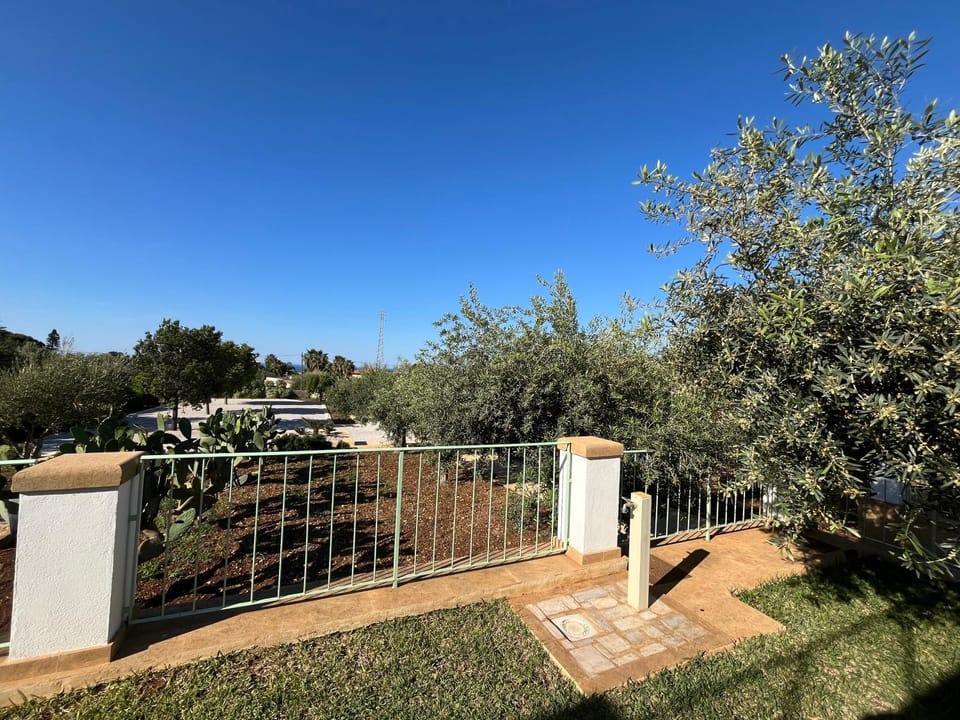 Natural landscape, Garden, View (from property/room), Garden view