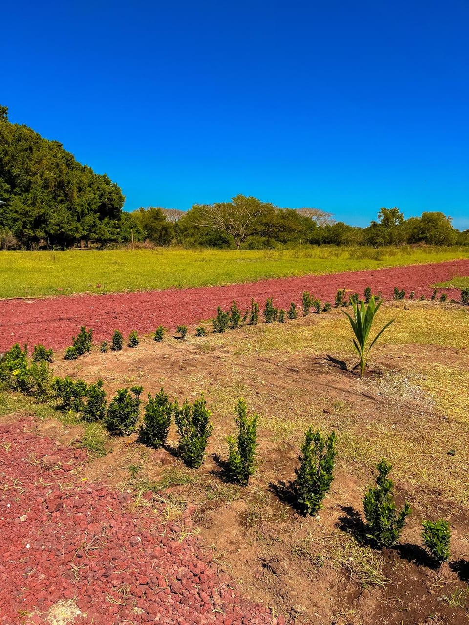 Natural landscape