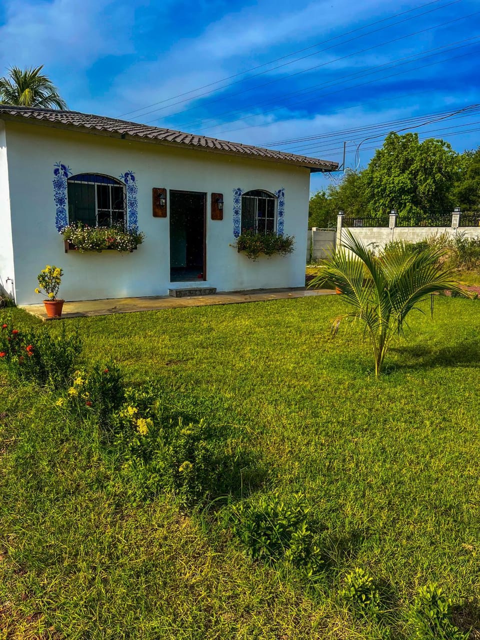 Garden view