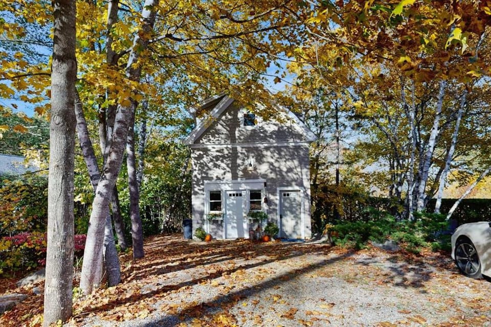 Property building, Day, Garden