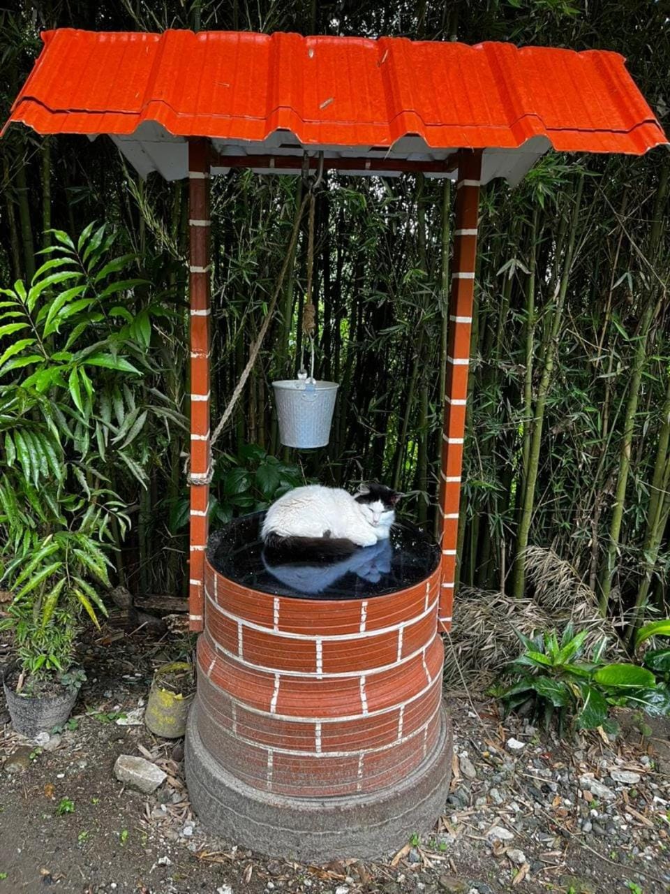 Casa de La Abuela Irene Country House in Quindio, Colombia